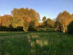 Le Pré Germain photo 15