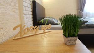 NEW Luxury Studio Apartment - 3hvězdičkové hotely ve městě Ivano-Frankivsk