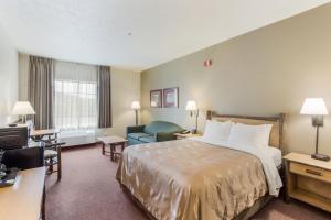 Standard King Non Smoking 1 person Sofa Bed room in Quality Inn & Suites