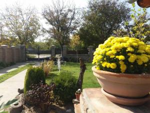 Rita Apartman & Studio