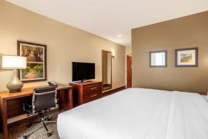 Standard King Room - Non-Smoking  room in Comfort Inn & Suites