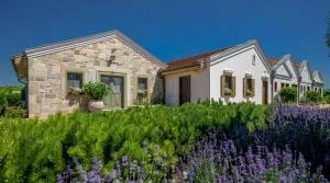 Páskom Cottage - Sáregres