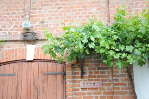 Wellness B&B Winery Sontacchi