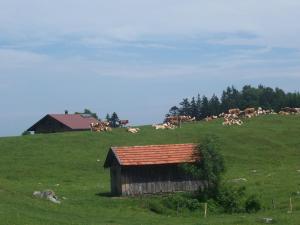 Weberhof