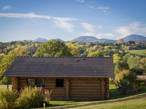 Chalets Reves de Bois : photos des chambres