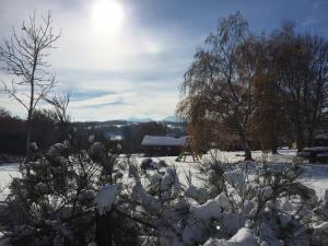 Chalets Reves de Bois : photos des chambres