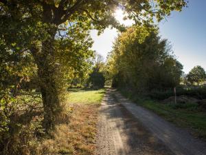 Chalets Reves de Bois : photos des chambres