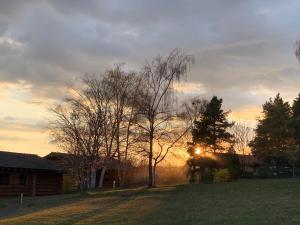 Chalets Reves de Bois : photos des chambres