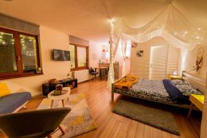 Dragonfly Studio with GARDEN