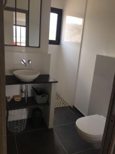 Villas Villa grand confort a 500m de la plage de LOZARI : Villa 3 Chambres