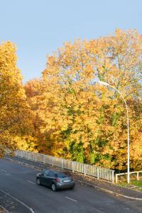 Appartements *Le Tendance appart* : photos des chambres