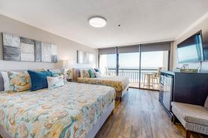 Standard Studio room in San Luis Resort Condos