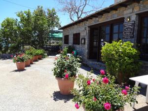 Aggelika Pelion Greece