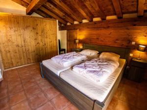 Chalets Luxurious chalet near the pistes in family-friendly St Francois Longchamp : photos des chambres