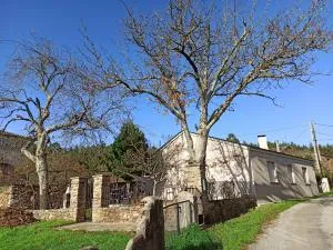 casa ferreirua - Bóveda