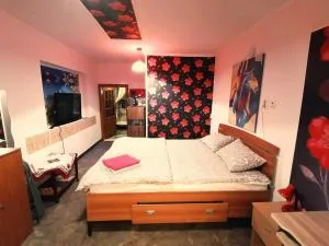 Hostel Pascalis Alesd - Valea Tîrnei