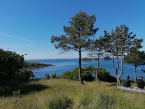 Appartements Appartement plage de Kerfany les Pins : Appartement - Vue sur Mer