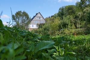 The Conscious Farmer Bed and Breakfast Sauerland