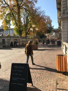 Appartements LE GRUFFAZ - Hyper centre, Balcon sur canal : photos des chambres