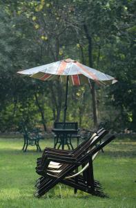 Mela Kothi - The Chambal Safari Lodge