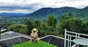 Im Fine Khaokho resort