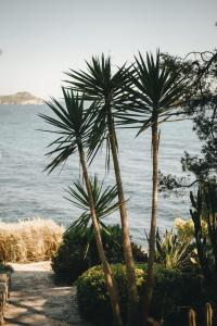 Hotels Hotel Le Provencal - Renove en 2025 - Bord de Mer : photos des chambres