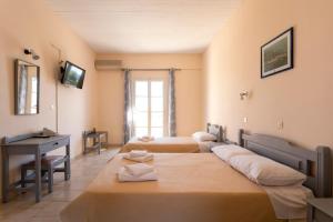 Vanas Spetses Greece