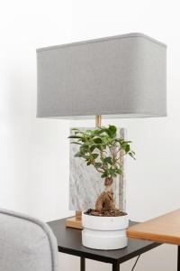 Prata Street-Your Home in Lisbon