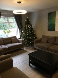 The Town House Kinsale, Hosted by Exquisite holiday homes, sleeps 16