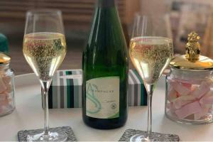 DOM PERIGNON, magnifique appartement au coeur du centre ville depernay