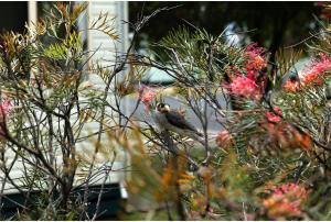 Discovery Parks - Casino