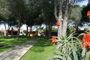 Residence Sa Pintadera