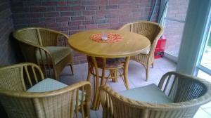 Haus-Meisennest-Wohnung-Meise