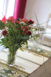 Ferienhaus-Rotdorn-Haus-Nord