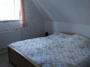 Haus-Sonne