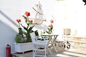 Elena Studios & Apartments Paros Greece