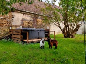 Sejours chez l'habitant Chez Aurelia - La mini maison : photos des chambres