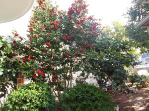 Beautiful-Banjole-Beachside-Apartment-A2-150m-from-the-beach