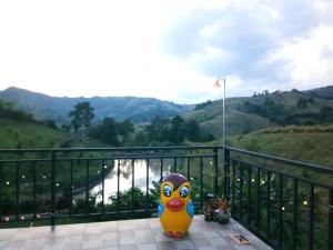 ภูร่องลม ฟาร์ม