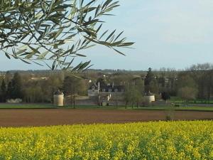 Maisons de vacances AU GRAIN D'ORGE : photos des chambres