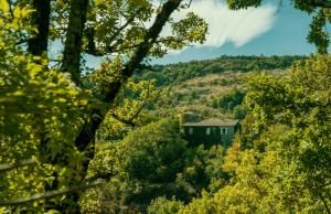 Accommodation in Rochessauve