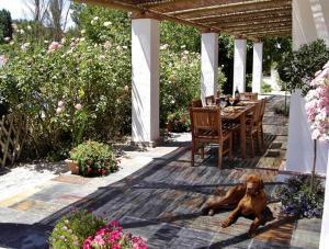 Holiday Home Finca Retama