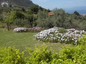 Hotel Theasi Achaia Greece