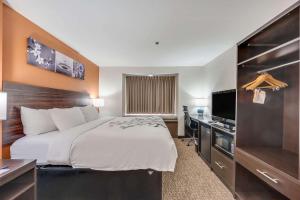 King Suite - Non-Smoking room in Sleep Inn & Suites