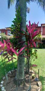 Casa de Praia Caraguatatuba - Temporada inteira, Perfeita para o descanso da família!!