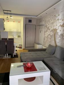 Lux Apartman SS Zlatibor vila Pekovic Green