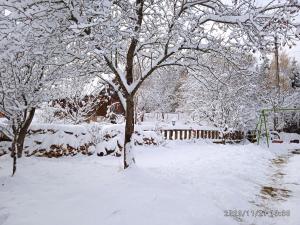 Cabana Belis Dealu Negru