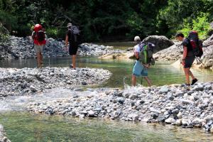 Appartamento Spiga - Agriturismo Le Selvole