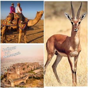 Benda Rejuvenate Hotel