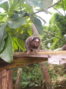 Pousada Recanto Do sagui